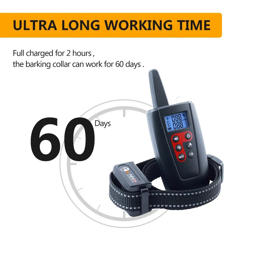 Pet training collar-2