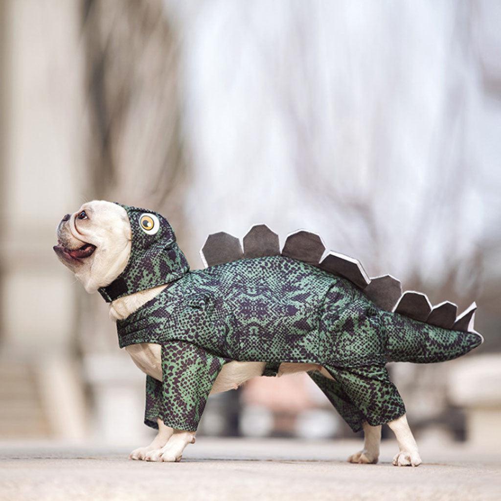 Bunnylicious Dino Dress: Adorable Pet Dinosaur Clothes For Fashionable Females